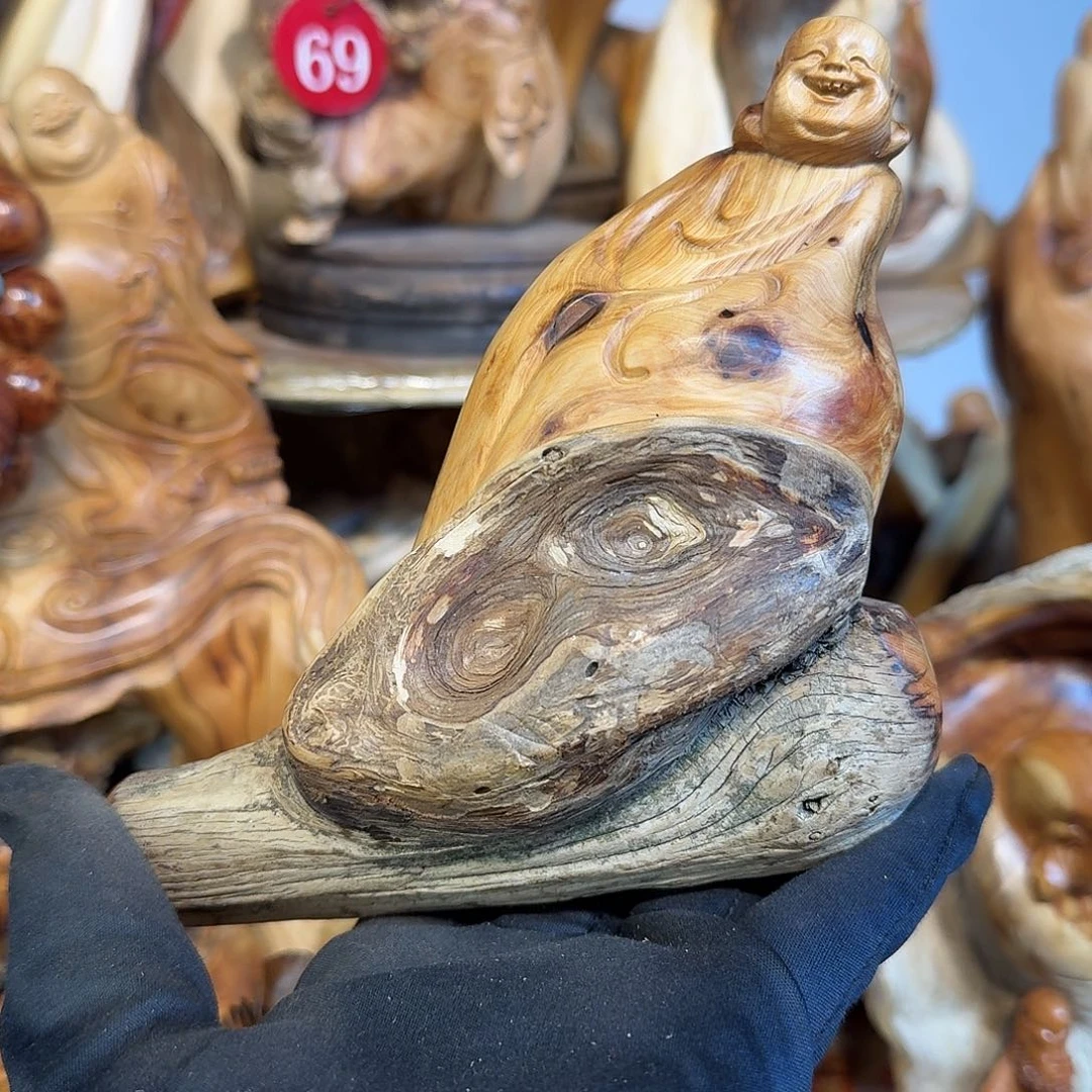 柏木（崖柏）666666666