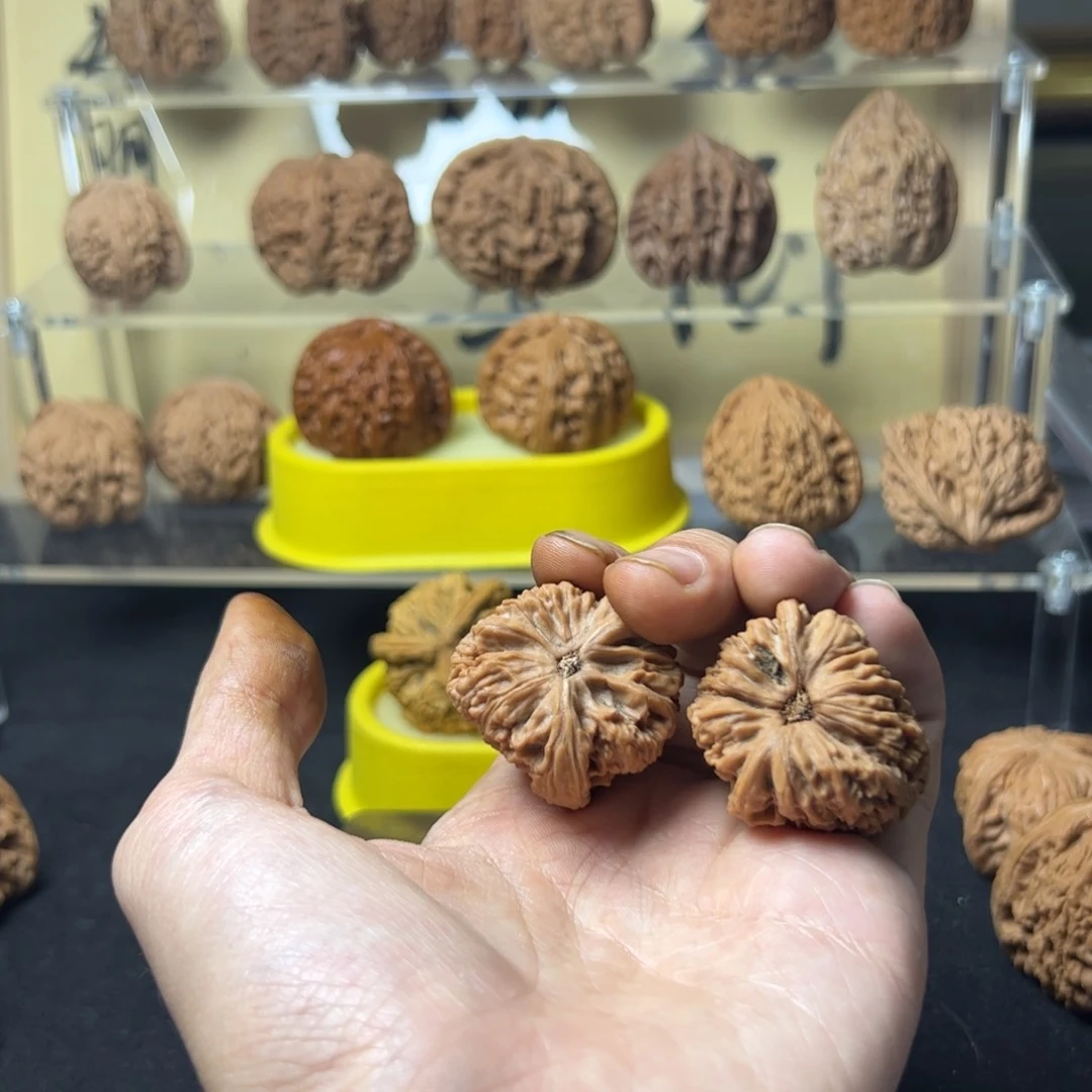 小*胡文玩核桃文玩手串