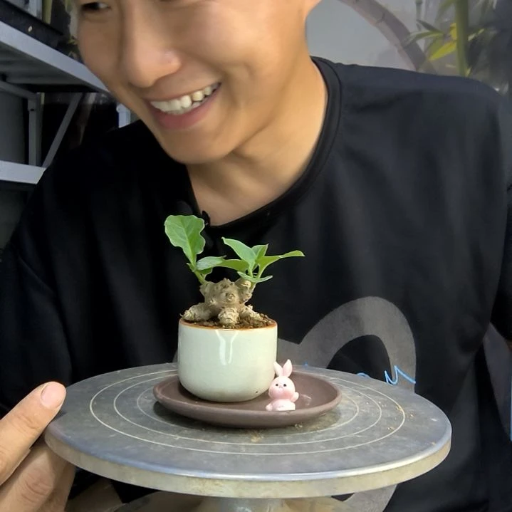 哈**?中青园艺一物一拍94