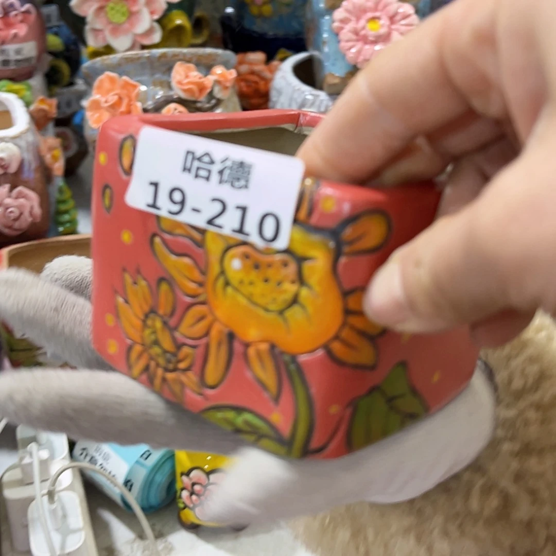 【闪购商品】红陶瑕疵19210