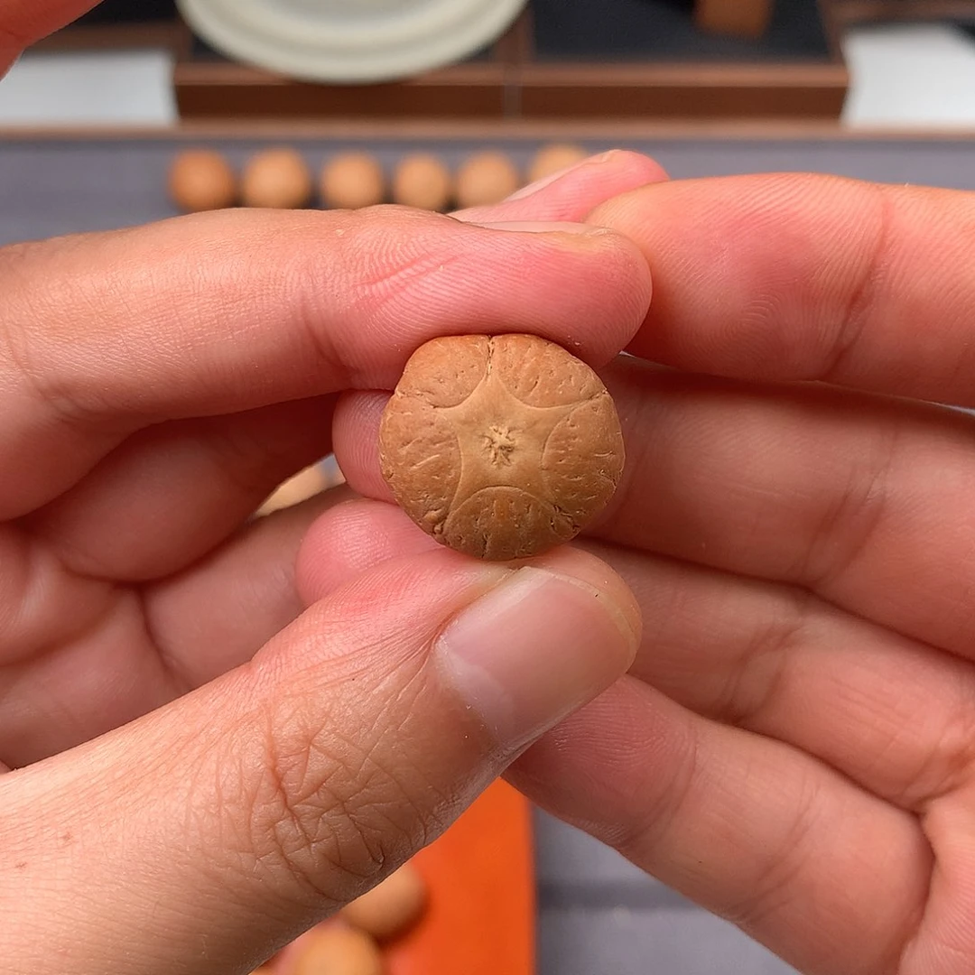 手串凤眼菩提20+五星，非质量问题开孔不退