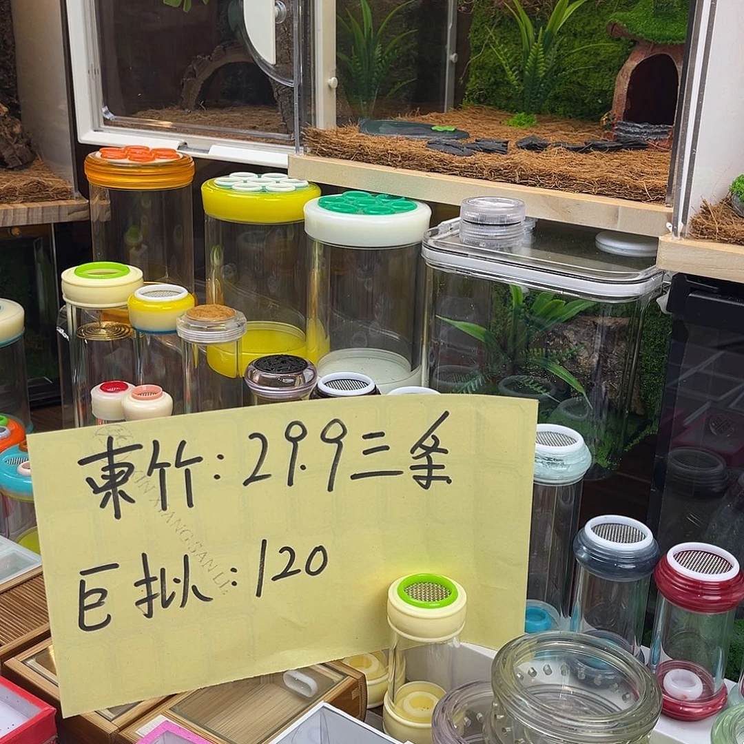 3条柬竹哈哈哈哈哈