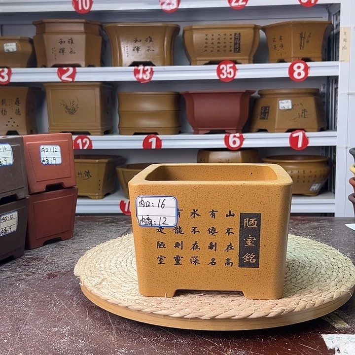 紫砂花盆蛇年大吉