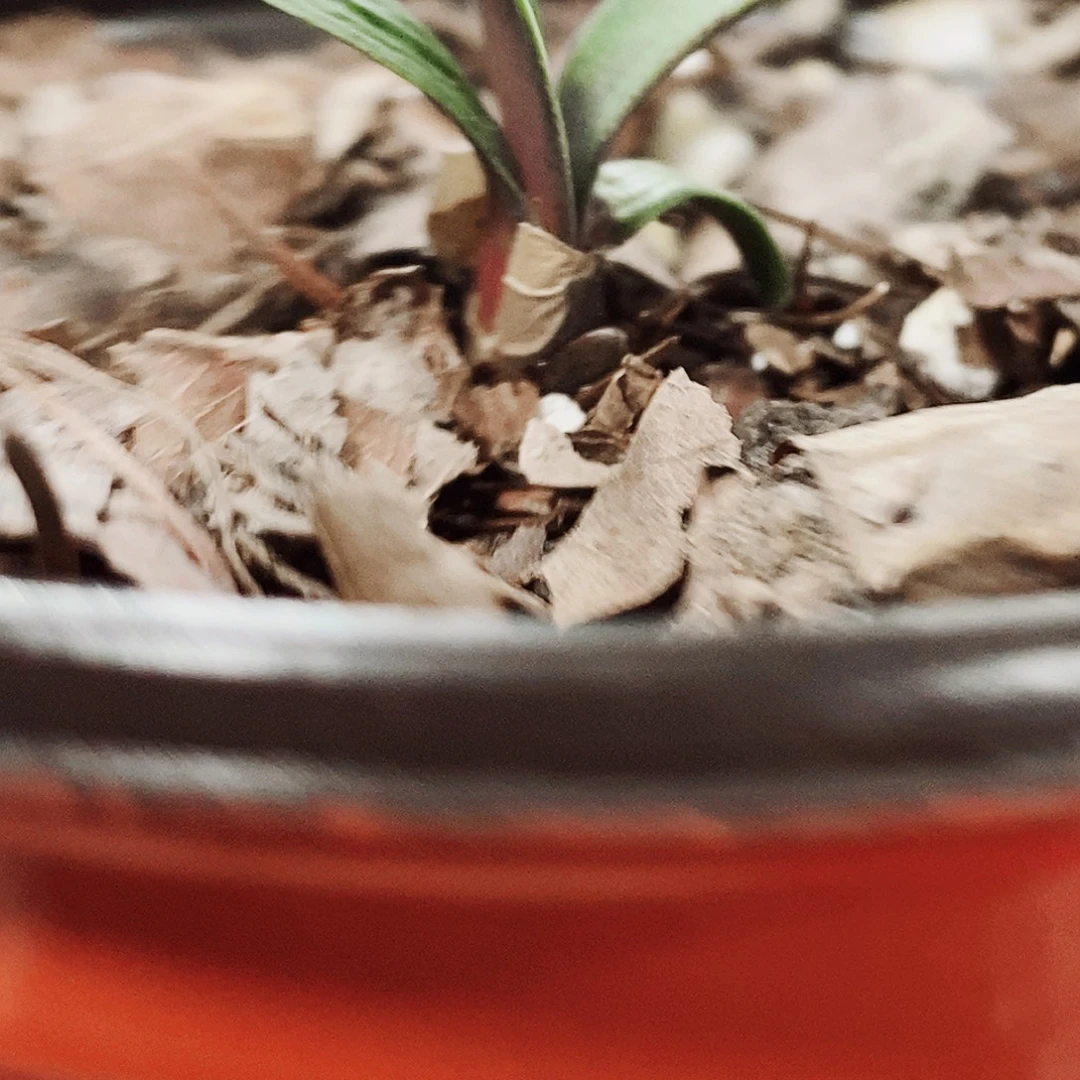 善***慧完全开放健健康康快快乐乐