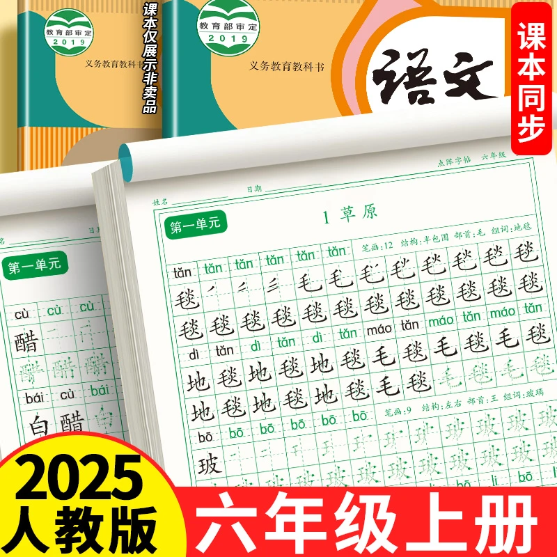 六年级上册练字帖同步人教版语文2025每日一练字帖五升六描红本6