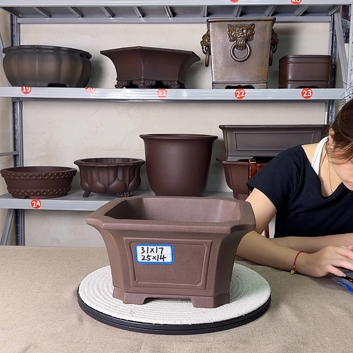 紫砂花盆紫砂花开