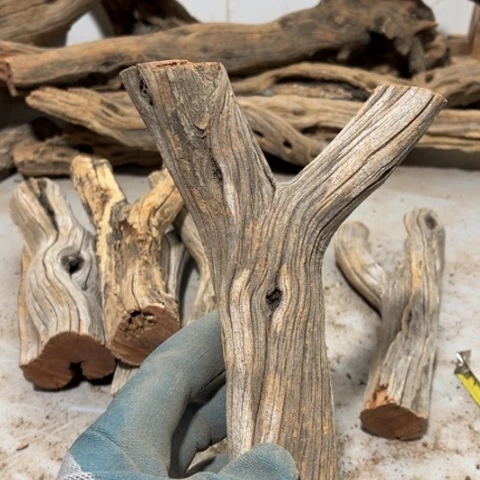 大果紫檀（缅甸花梨）意*鷰