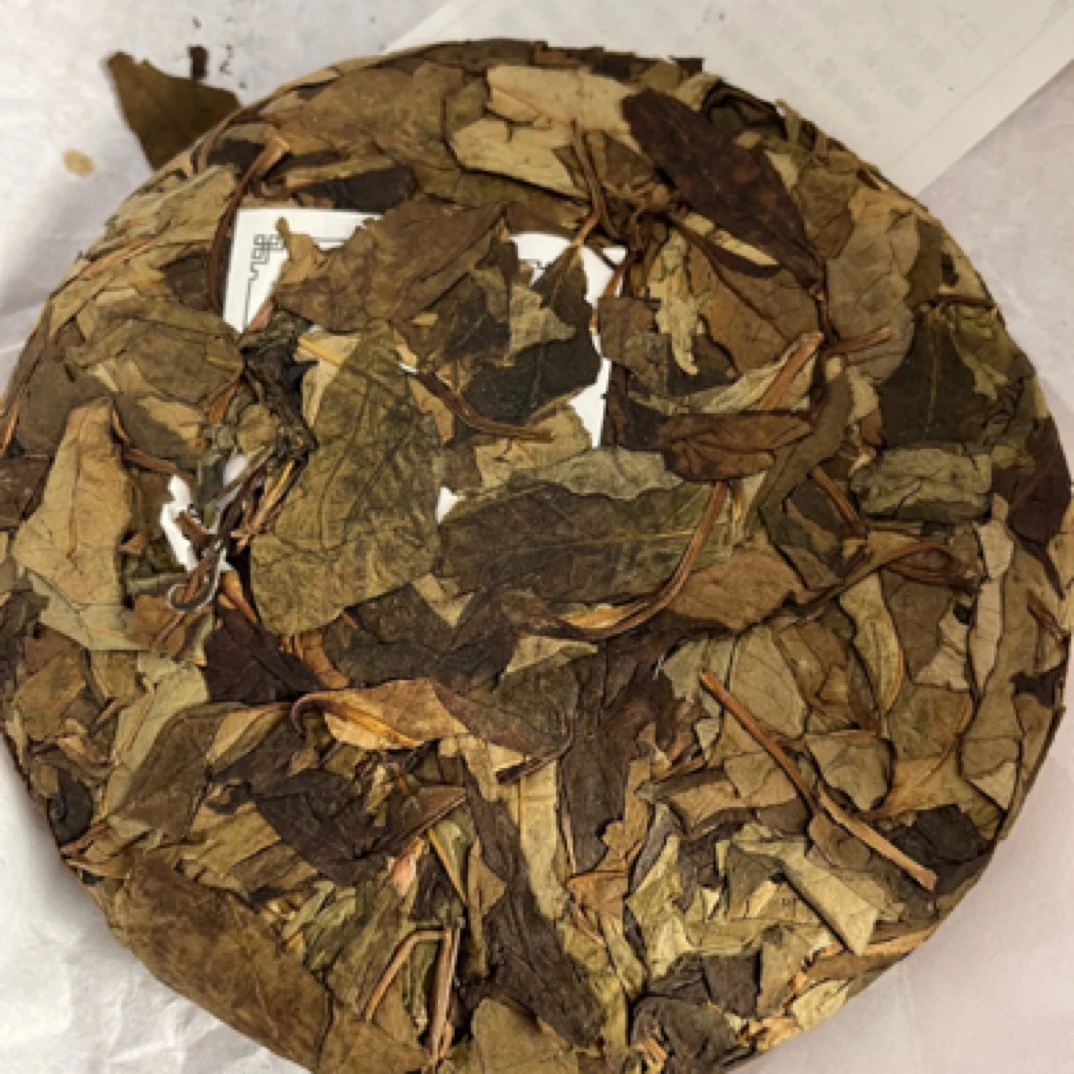 2024明后野生白茶