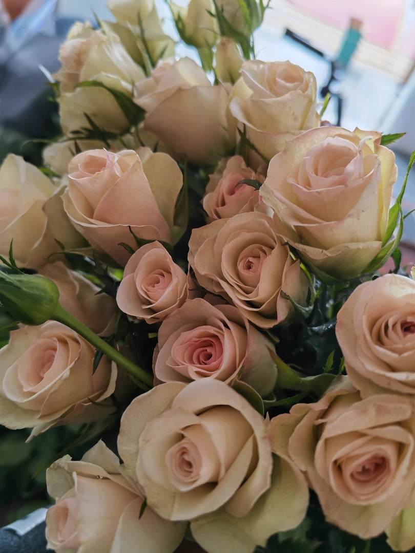 小头香槟玫瑰基地直发任意两单升级顺丰5℃以下拍保温棉冻坏不赔