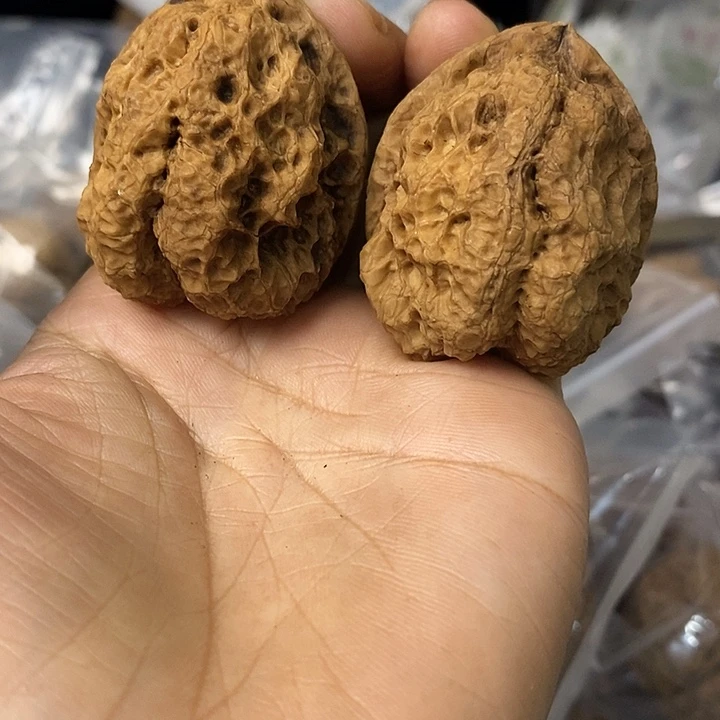 核桃云南铁核桃基地74