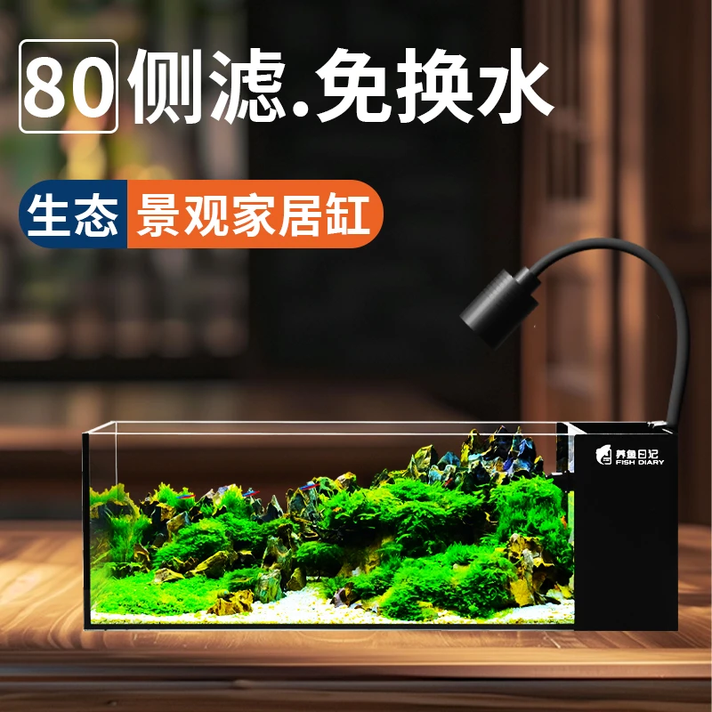 养鱼日记超白玻璃桌面溪流缸侧滤生态原生溪流鱼缸小型客厅家用