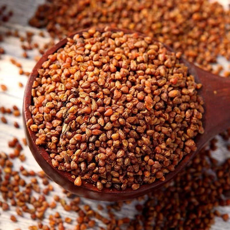 黑苦荞茶荞麦茶苦荞茶四川大凉山大麦浓香型唇齿留香正品苦荞麦