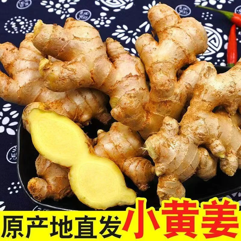 云南小黄姜新鲜现挖香辣十足