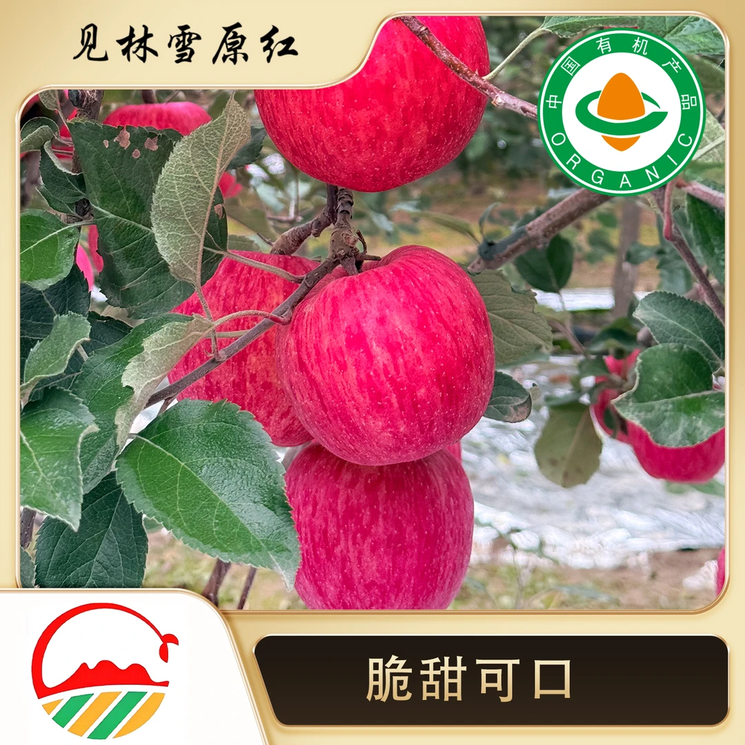 顺丰包邮甘谷富士苹果新鲜冰糖心脆甜多汁产地农场直发应季水果