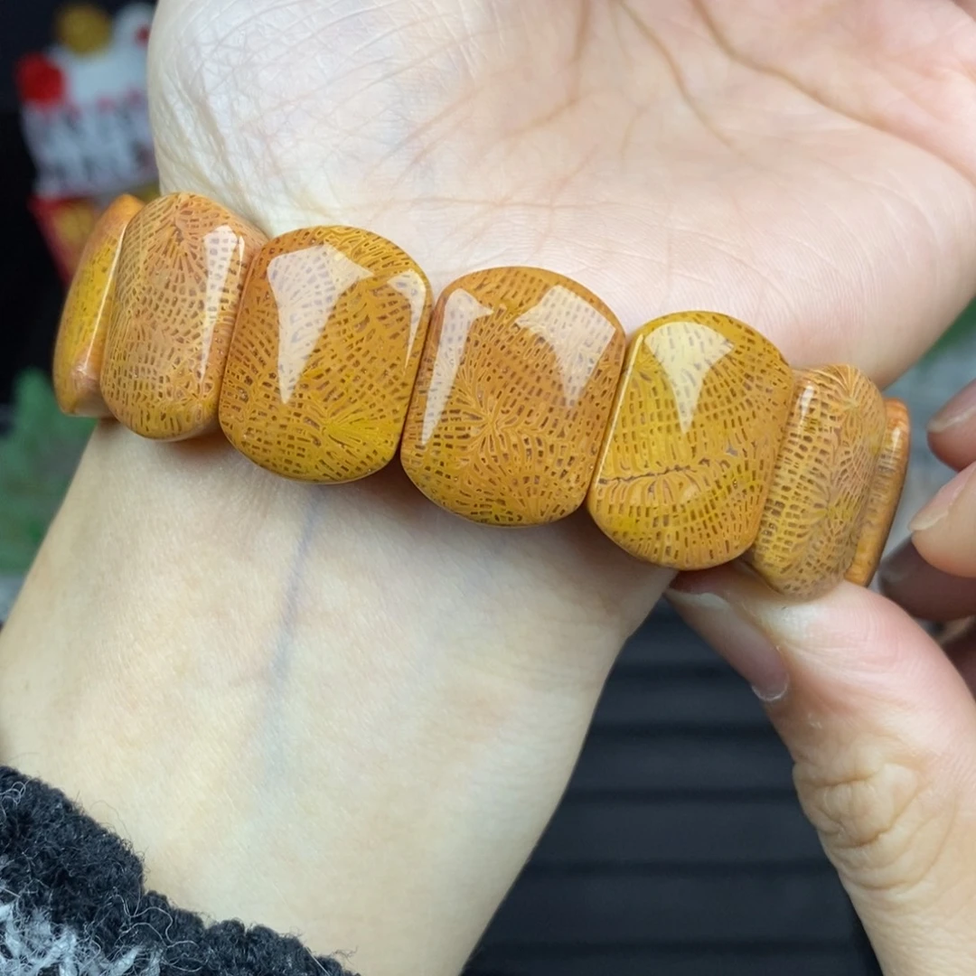 硅化玉未镶嵌手链金色龙骨1