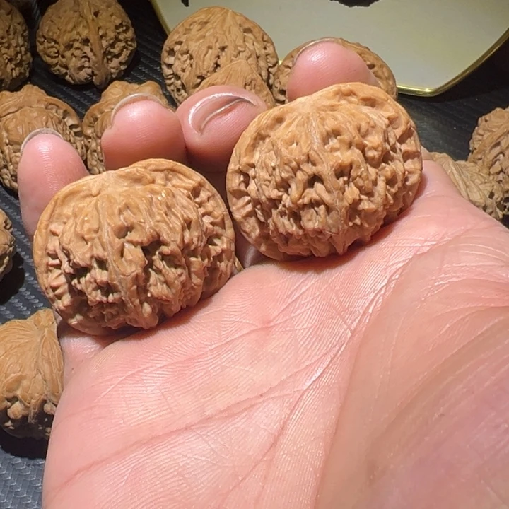 核桃东京第一矮38