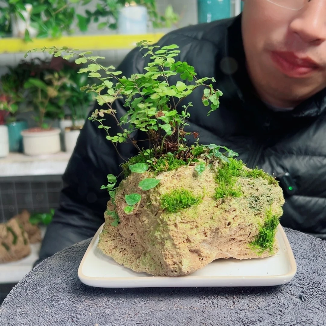 泽***泽无花朵38