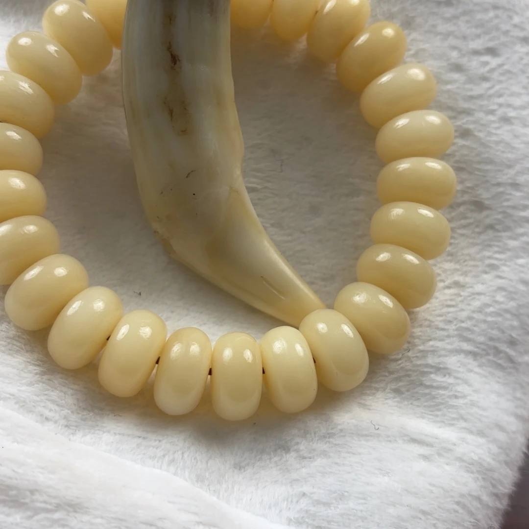 骆驼牙手串/手链骆驼牙