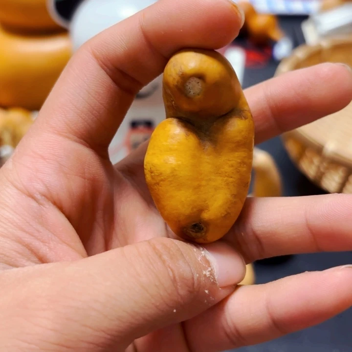 来****o8888888888888888888