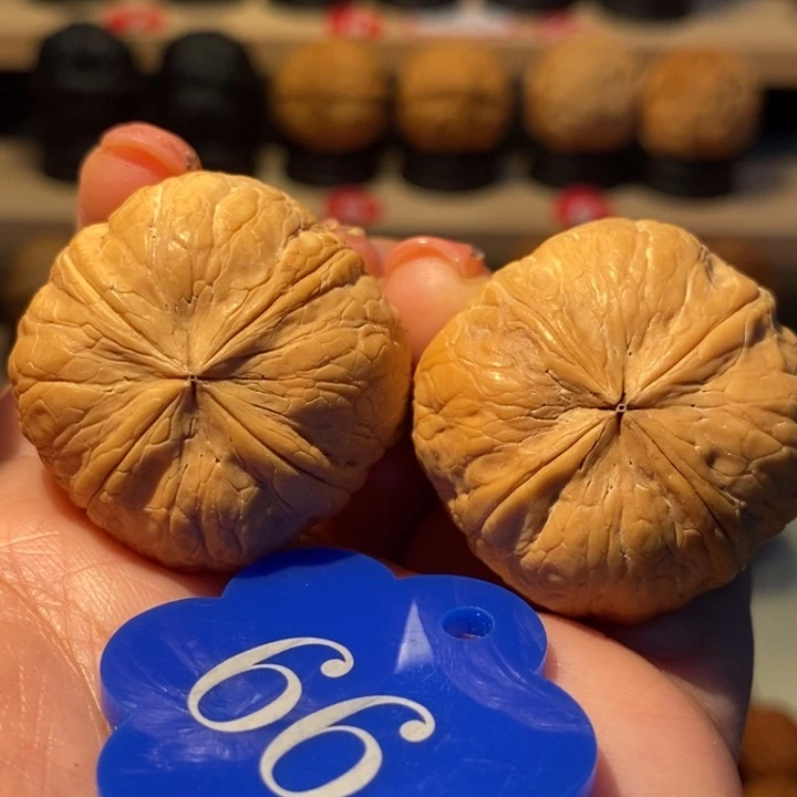 曾***我菩提籽类豆包地闷34尺寸