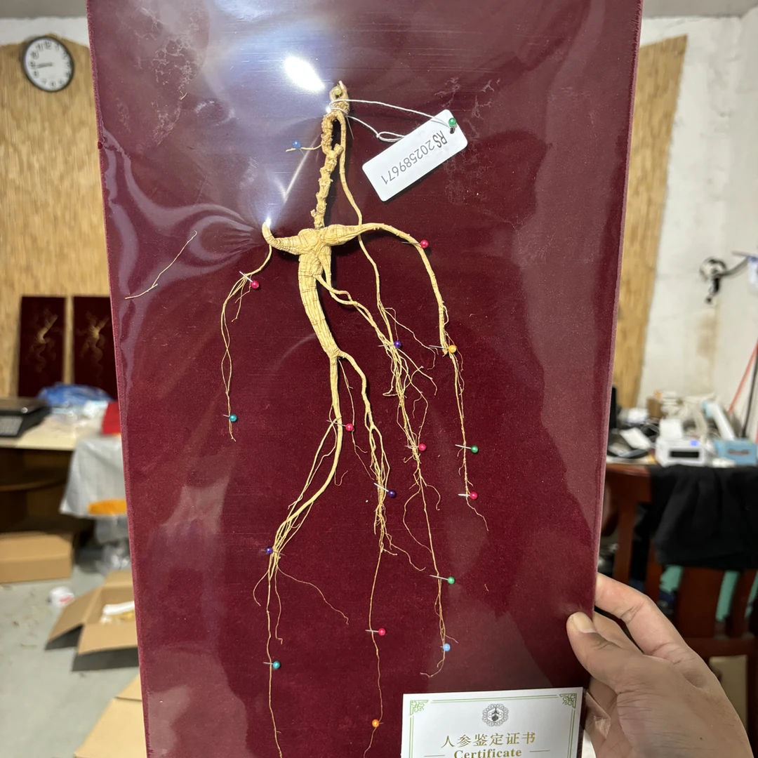 【一等带证书】长白山干参自用煲汤泡水泡酒送人