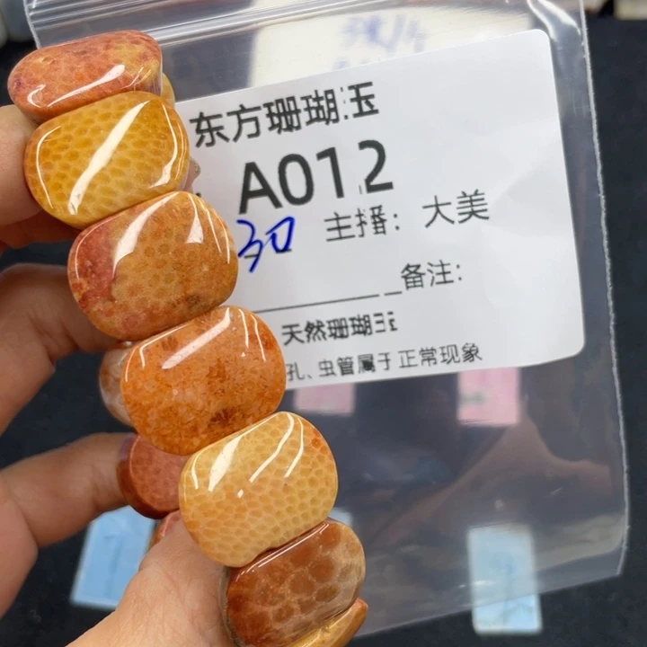 颈饰合金硅化珊瑚（珊瑚玉）