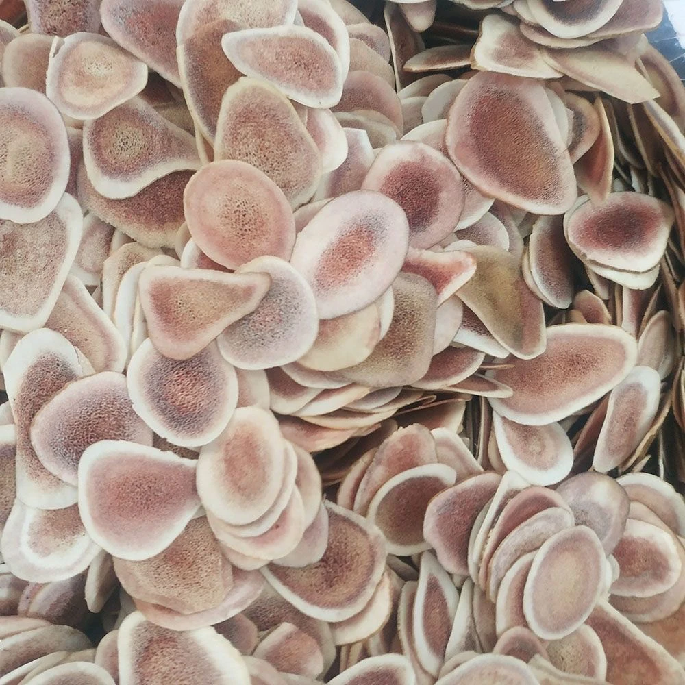 农家鹿茸片正品保证15克