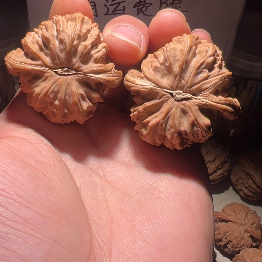 把件文玩核桃43尺全品白狮子