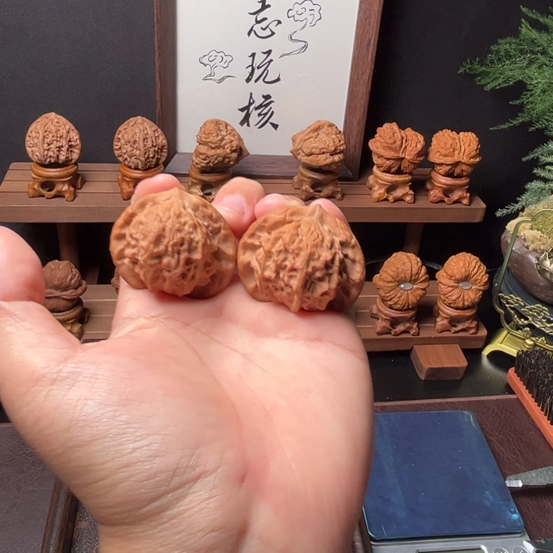 核桃44mm全品大耳朵图图，一物一图
