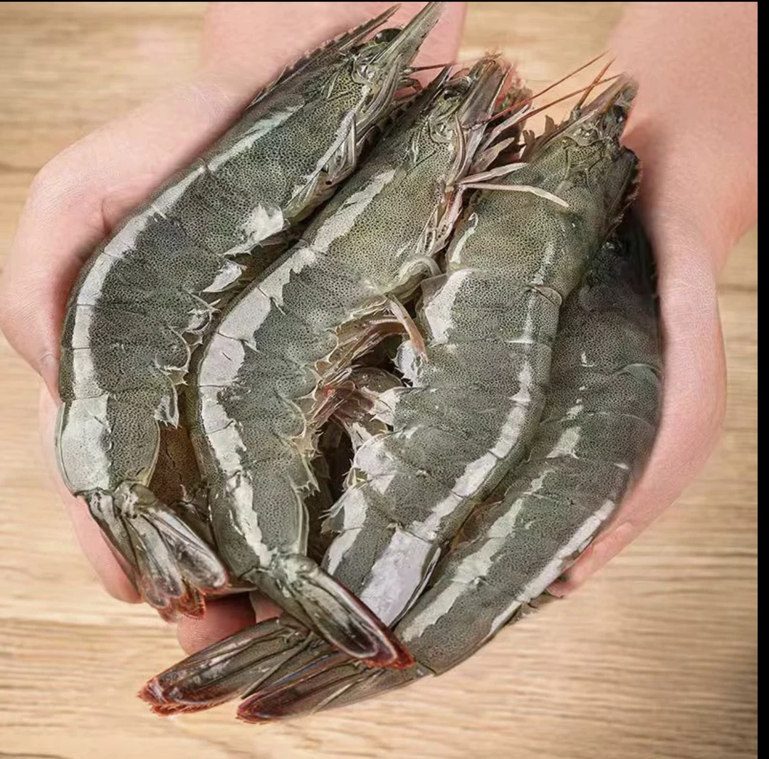 s海虾新鲜美味肉质紧实 到手4斤/盒【13cm-15cm海虾】 顺丰冷链发货