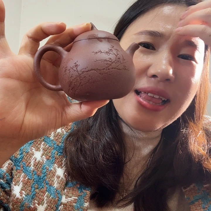 紫砂茶壶紫泥茄瓜200cc