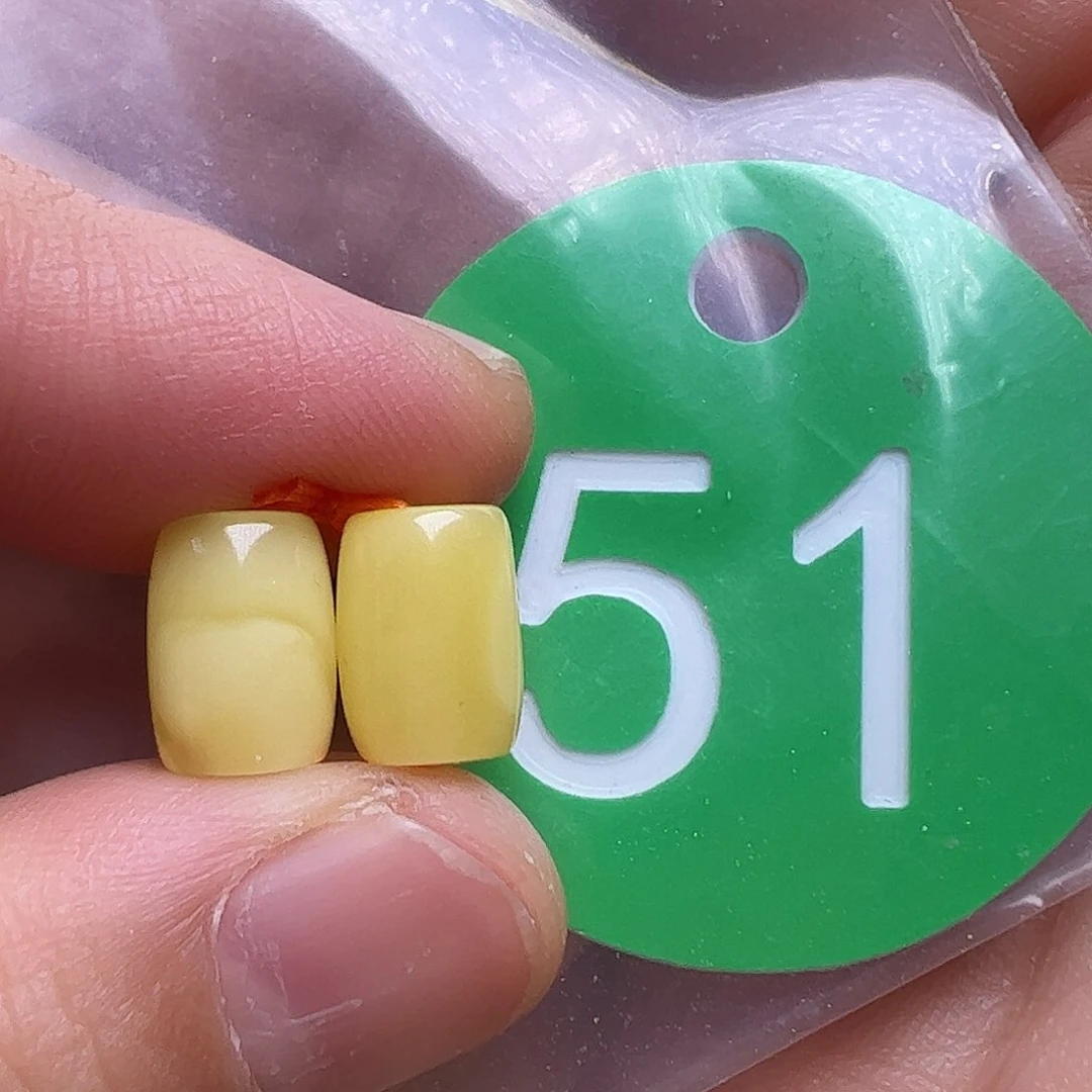 蜜蜡未镶嵌珠宝奇石L****·