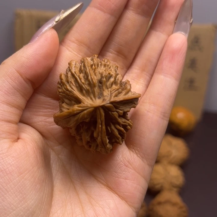 谢***行菩提籽类丁字三棱单只异型