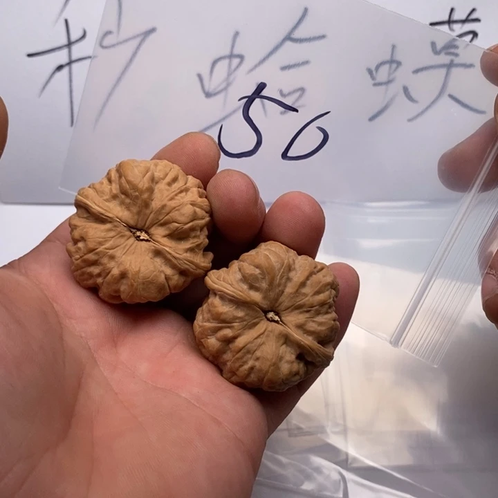 文玩核桃吊坠哈哈哈哈哈哈哈哈哈