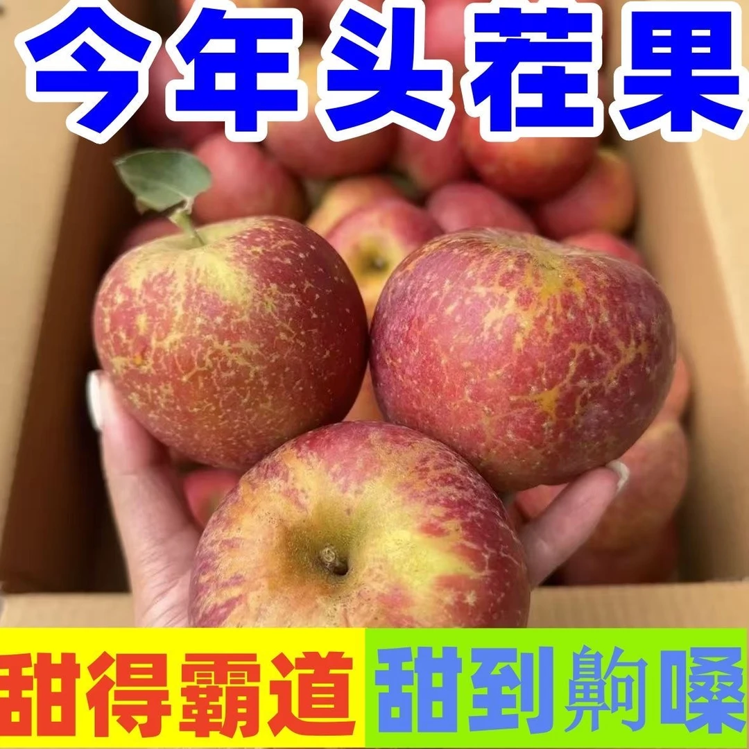 四川大凉山丑苹果新鲜应季脆甜多汁冰糖心水果产地直发不打蜡催熟