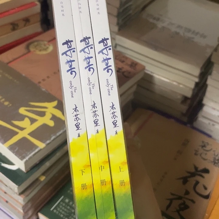 某某  平装带塑封