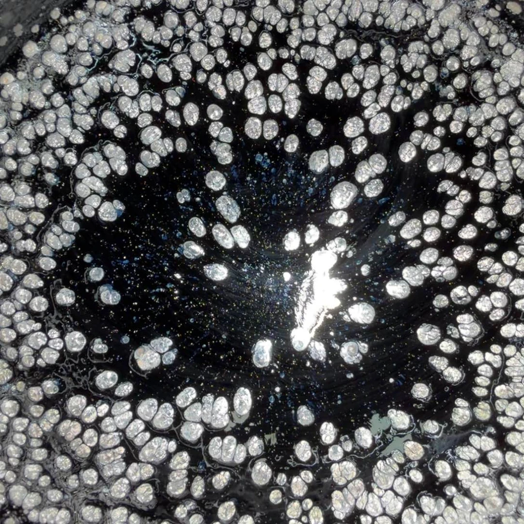 茶盏陈记柴烧建盏51