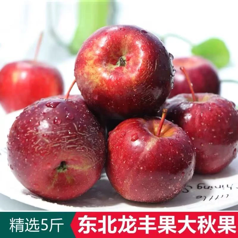 东北龙丰果大秋果，新鲜沙果海棠果，酸甜孕妇小苹果，水果特产整箱5斤北京市