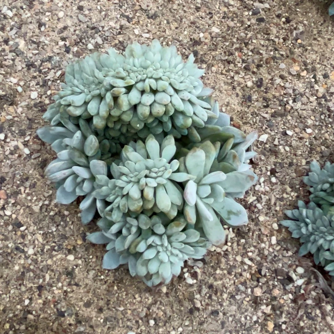 是你没什么没什么没什么