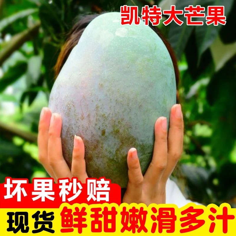 【邮政助农】正宗四川攀枝花凯特芒爆甜无丝核薄肉厚大芒果新鲜N
