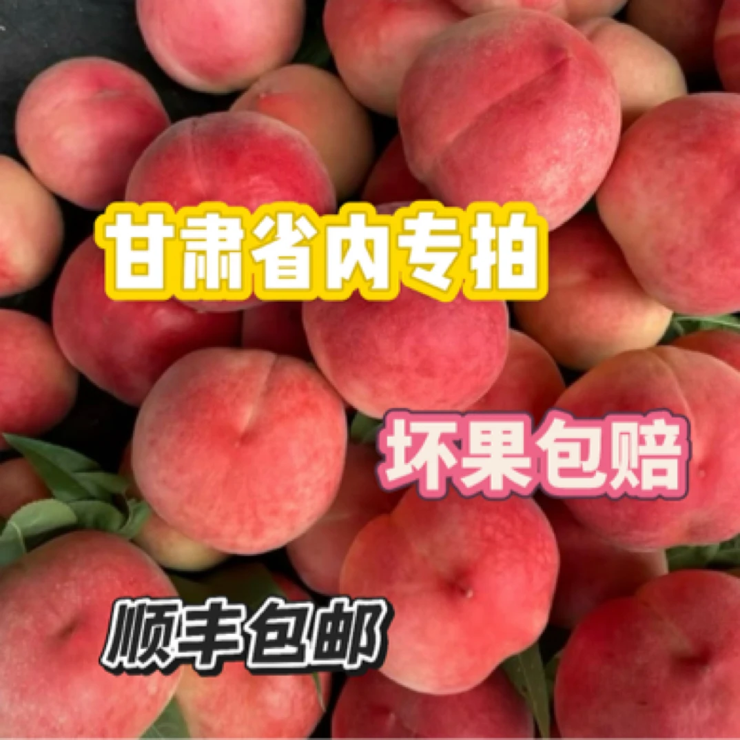 北京7号水蜜桃暴甜多汁！自家果园每天只能售十单（省内拍）
