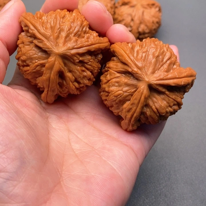 木质类媞*裤核桃核桃