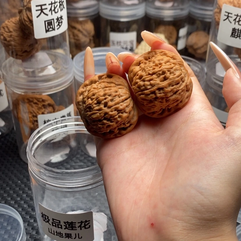 【闪购商品】核桃其他动**居莲花。
