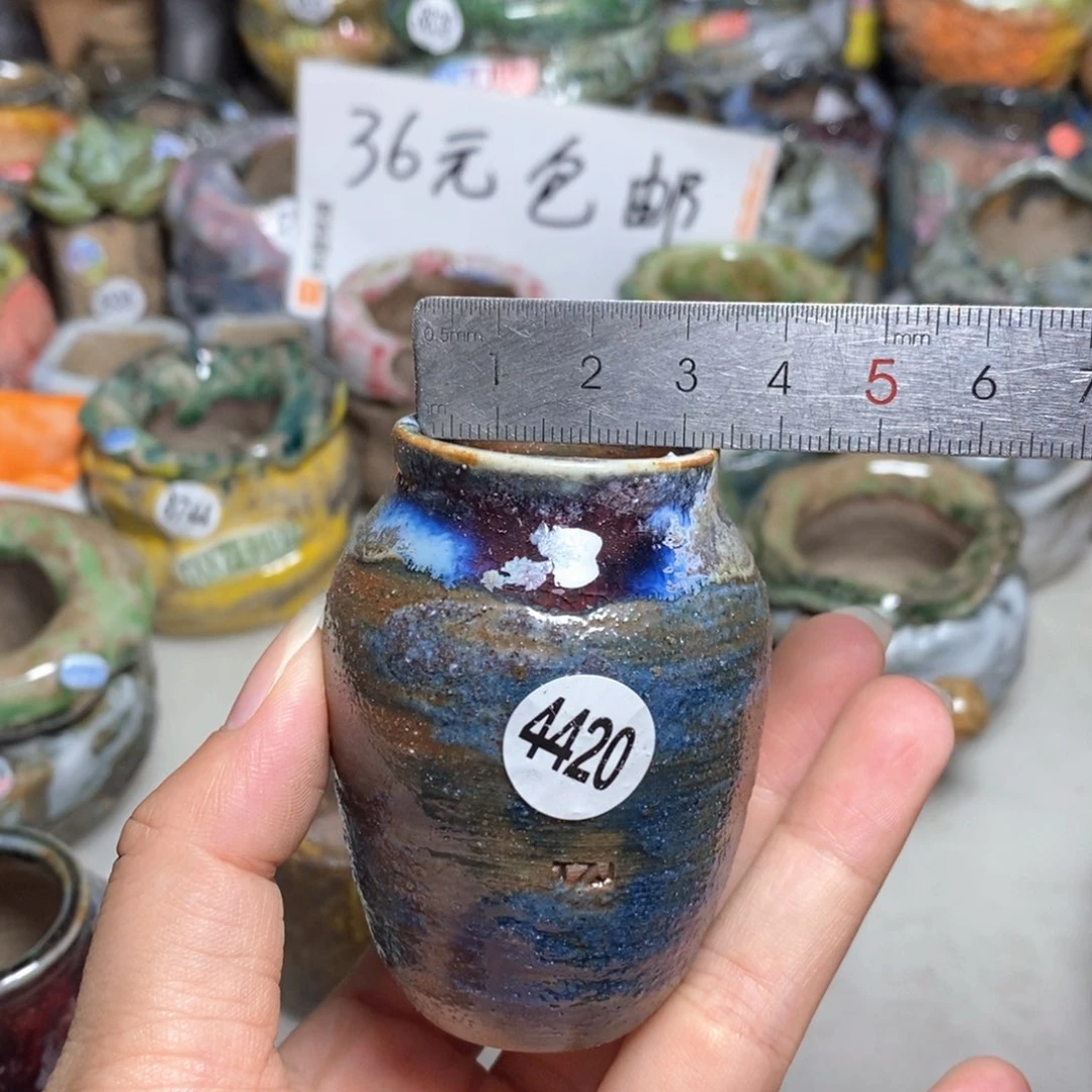 拍5送一个小礼物