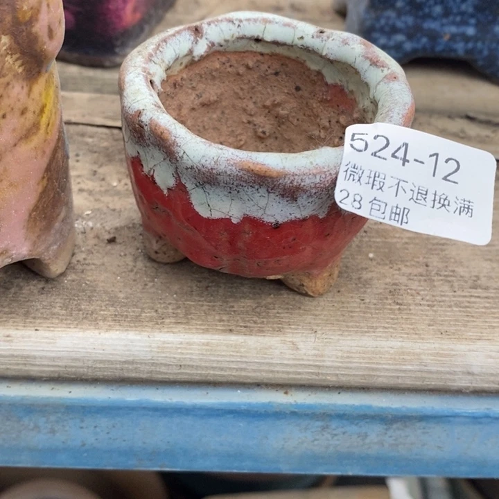 12号多肉盆小可爱