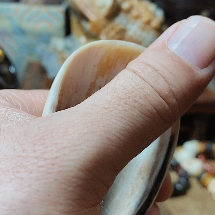 d n m h b b b b b b n