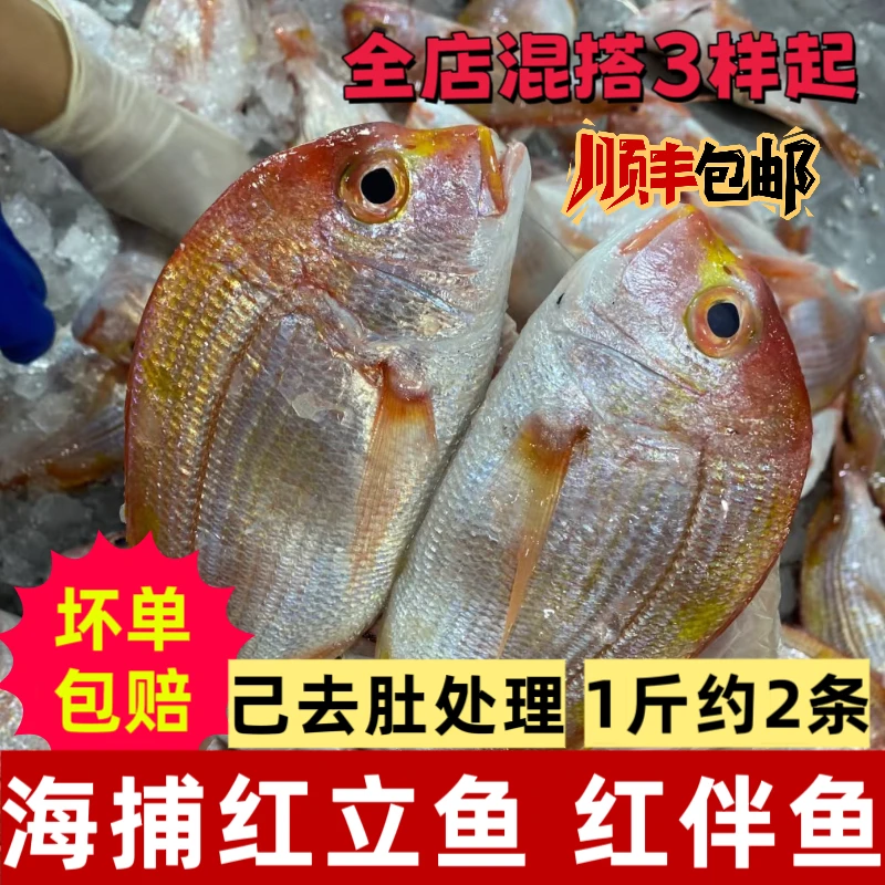 红立鱼新鲜潮汕赤涩鱼冷冻潮汕海鲜水产红鱼海捕海鱼红伴鱼500g