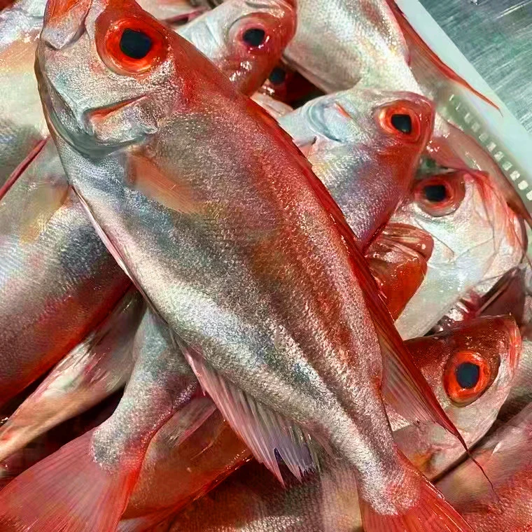 4 本港红目鲢 新鲜大眼鸡 野生海鲜大目 一斤4条 顺丰包邮