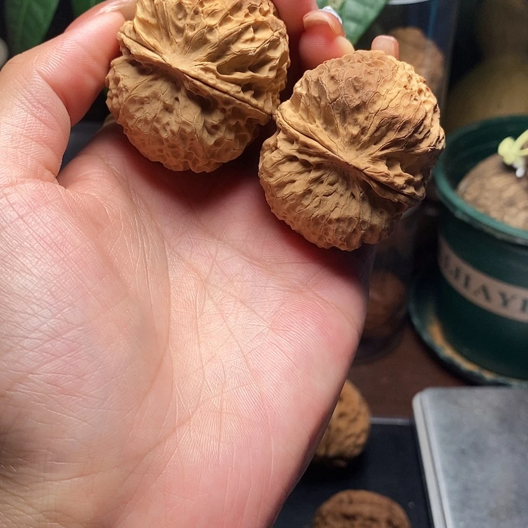 文玩核桃把件铁绣球43mm