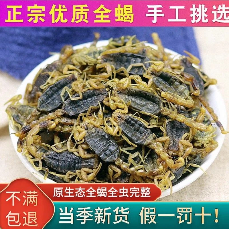 蝎子沂蒙全蝎干全虫泡酒油炸养生滋补煲汤传统滋补养生料